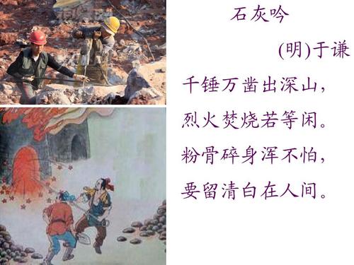 天才训练师正式版下载
